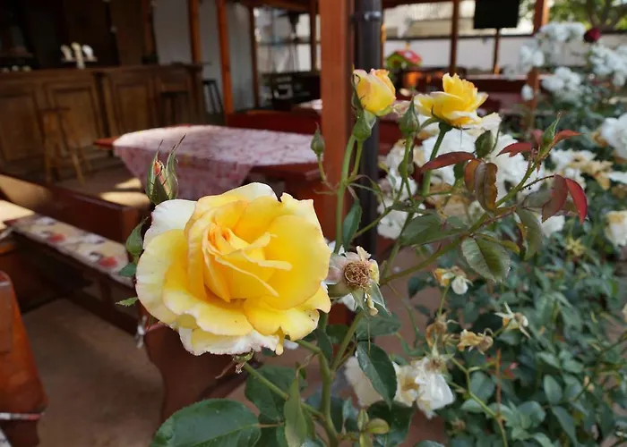 מלון Ryor - Breakfast And Free Parking