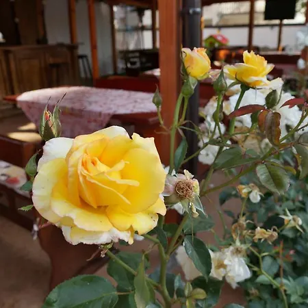 Отель Ryor - Breakfast And Free Parking